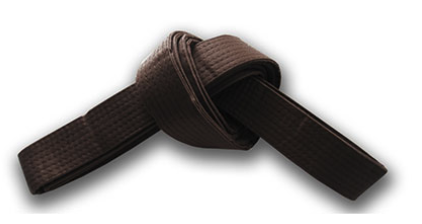 <p>brown belt</p>