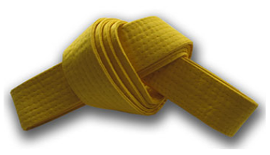 <p>yellow belt</p>